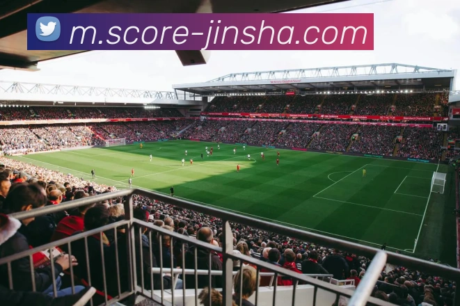 澳门金沙官网平台生态图